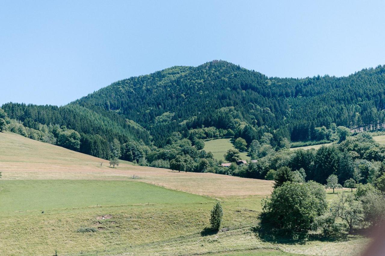 Moderne 2 Zi.-Fewo Blackforest Art Naehe Freiburg Simonswald Extérieur photo